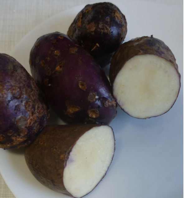 Kartoffelsorte Russische Schwarze